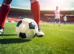 天津天海队,对张鹭实施,停薪停训停,龙8国际官网,龙8国际官网,龙8国际官网在线娱乐平台