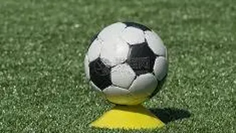 中国女子排球队与阿根廷女子排球队比赛直播时间、观看链接及参赛名单公布